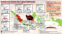 Titik Api di Sumsel-Riau Bertambah, Kualitas Udara Berbahaya!