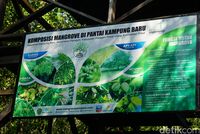 Yang Hijau-hijau di Ibu Kota Baru
