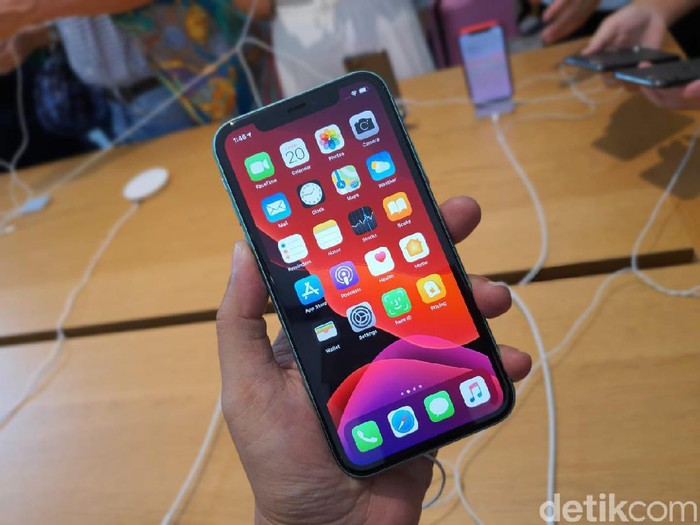iPhone 11. Foto: Adi Fida Rahman/detikINET iPhone 11. Foto: Adi Fida Rahman/detikINET