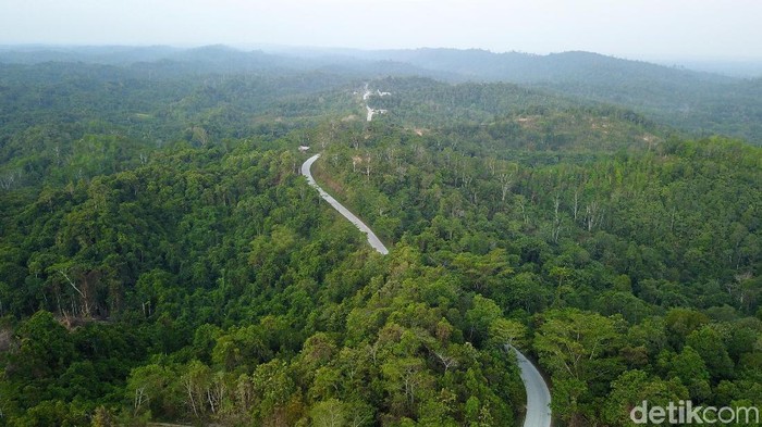 Lokasi ibu kota negara yang baru di Kabupaten Penajam Paser Utara (PPU) dipastikan akan di kelilingi oleh hutan. Hijau dan asri, beginilah penampakannya.