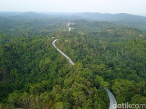 Ibu Kota Baru RI Bakal Dibangun Bendungan Rp 800 M