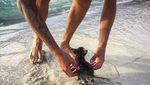 Foto: Perkenalkan Gracie, Si Kucing Pantai