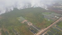 Pemerintah juga terus melakukan upaya pemadaman. Ada 270 juta liter air yang digunakan untuk water bombing dari 34 unit helikopter yang dikerahkan. (Foto: dok. BNPB)