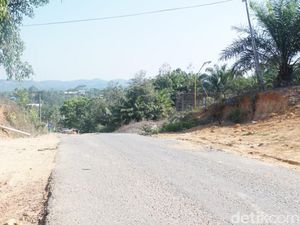 Harga Tanah di Ibu Kota Baru Melonjak Jadi Miliaran, Benar Nggak Sih?