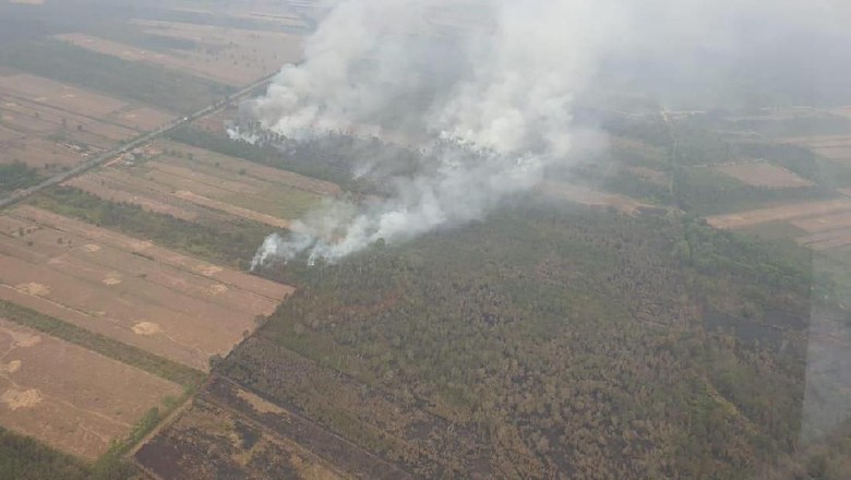 Potret terkini kebakaran hutan di Kalimantan dilihat dari udara. (Foto: dok. BNPB) Potret terkini kebakaran hutan di Kalimantan dilihat dari udara. (Foto: dok. BNPB)