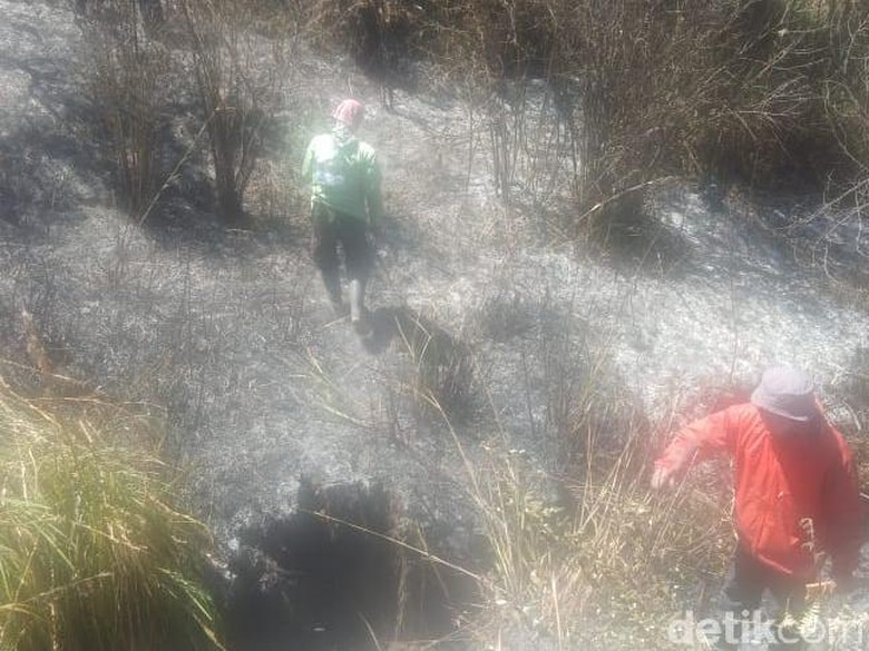 Jalur Pendakian Semeru Terbakar, TNBTS Keluarkan Imbauan Bagi Pendaki Jalur Pendakian Semeru Terbakar, TNBTS Keluarkan Imbauan Bagi Pendaki