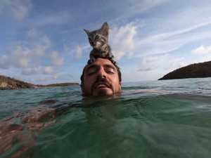 Gracie, Si Kucing Imut yang Suka Laut