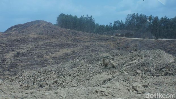 ITCI Hutani Manunggal