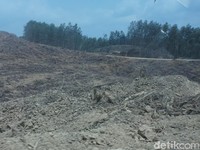 Tanoto Mau Kembalikan Konsesi Lahan ke Pemerintah untuk Ibu Kota