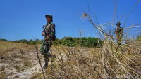 Mereka berjalan kaki mengitari pulaunya dengan medan berupa padang savana, pesisir pantai sampai menembus hutan (Afif Farhan/detikcom)