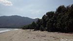 Potret Cantik Pantai Ria dari Dompu
