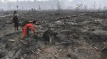 Kasihan! Taman Nasional Sebangau Kering Kerontang