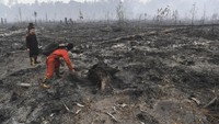 Petugas Taman Nasional berada di lahan hutan Taman Nasional Sebangau yang telah terbakar di Palangka Raya, Kalimantan Tengah, Kamis (19/9/2019).