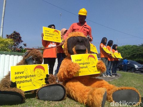 Adviser PLTA Batang Toru: Kami Dituduh Musnahkan Orangutan, Lewat Mana?
