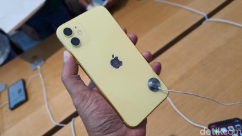 iPhone 11 kuning. Foto: Adi Fida Rahman/detikINET