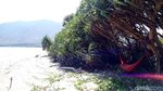 Potret Cantik Pantai Ria dari Dompu