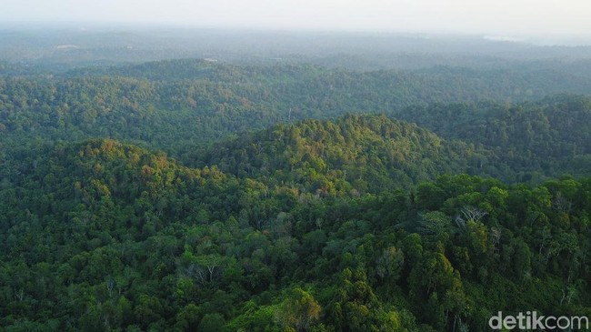 Tanoto Kembalikan Lahan, IMB Mau Dihapus