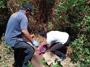 Mayat Ibu dan Bayinya Ditemukan di Lahan Kosong, Diduga Usai Melahirkan
