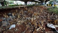 Begini penampakan taman di kawasan kolong jembatan JORR Jati Asih, Kota Bekasi, Jumat (20/9/2019).