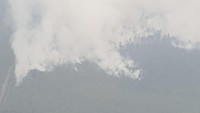 Terlihat dari pola karhutla bahwa hutan dan lahan sengaja dibakar, terlihat dari pola yang teratur dan hanya membakar di luar daerah perkebunan. Lahan juga dekat dengan perkebunan yang sudah ada, ujar Plt Kapusdatinmas, Agus Wibowo. (Foto: dok. BNPB)