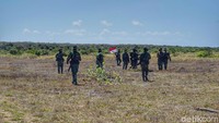 Mengatur formasi sebelum masuk ke dalam hutan (Afif Farhan/detikcom)