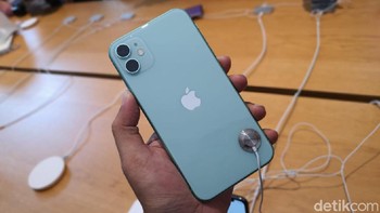 iPhone 11 Hijau. Foto: Adi Fida Rahman/detikINET
