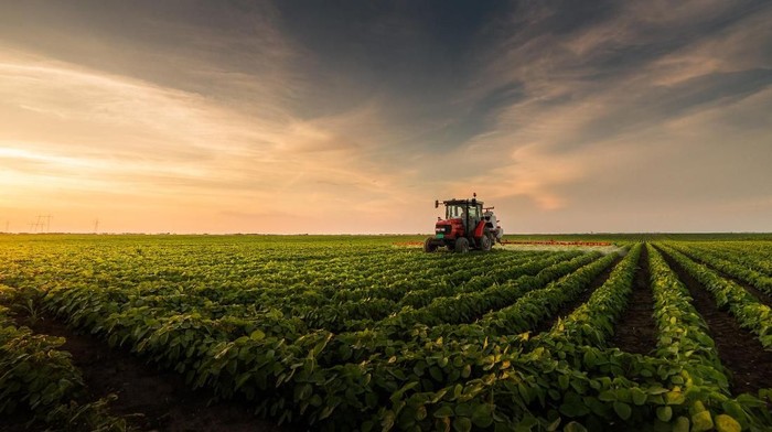 Tractor spraying pesticides on soybean field with sprayer at spring