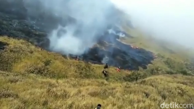 Ini Kendala Pemadaman Kebakaran di Gunung Slamet Ini Kendala Pemadaman Kebakaran di Gunung Slamet