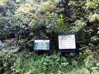 Air Terjun di Ibu Kota Baru: Kenyataan Tak Seindah Instagram