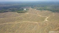 Ada pula lahan hutan yang baru dibabat. M. Abdurrosyid/Dok. Detikcom.