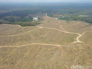 Lengkap! Ini Tahapan Pemindahan Ibu Kota hingga 2045