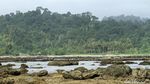 Unik! Ada Pulau Spongebob Lho di Aceh