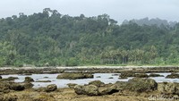 Jaraknya pun cukup dekat dan bisa dicapai dengan berjalan kaki apabila air surut. Hanya jika air sedang pasang, tentunya traveler tak bisa mencapai pulau itu dengan berjalan kaki.