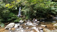 Salah satu tempat favorit macan tutul adalah Curug (air terjun) Macan. Hewan top predator tersebut sering berjemur di batu besar dekat dengan lokasi curug (Syahdan Alamsyah/detikcom)