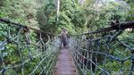 Foto Kanopi di Atap Hutan, Hanya 3 Jam dari Jakarta