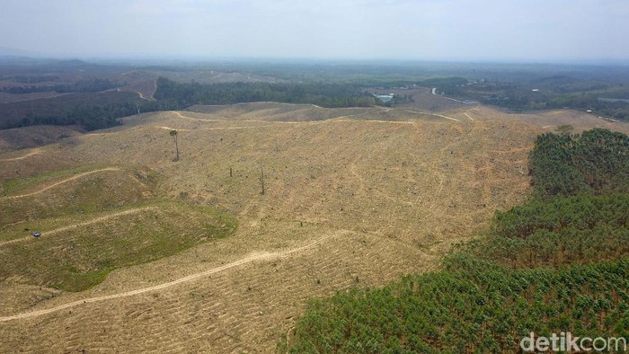 Kecamatan Sepaku di Kabupaten Penajam Paser Utara disebut sebagai lokasi Ibu kota baru. Pemilihan lokasi ini diduga karena di Sepaku banyak lahan negara.