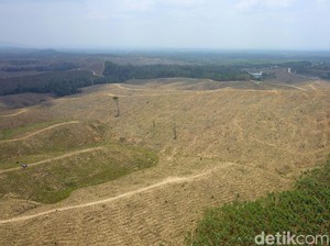 Pemerintah Siapkan Rp 43 T Buat IKN Sampai 2024, Ini yang Dibangun
