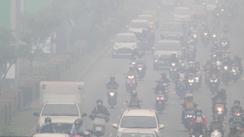 Komisi IV DPR ke Pemerintah soal Karhutla: Cepat Padamkan Api! Komisi IV DPR ke Pemerintah soal Karhutla: Cepat Padamkan Api!