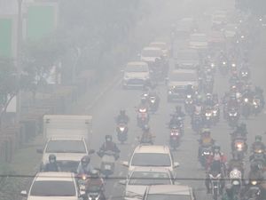 Kemenkes: Bayi, Ibu Hamil, dan Lansia Rentan Terhadap Kabut Asap