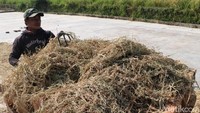 Lewi menjelaskan, tren di Eropa sekarang ini ingin mengkonsumsi karbo yang nongluten, salah satunya ketan hitam. Oleh karena itu, cecep juga ingin mengembangkan olahan ketan hitam menjadi produk ekspor.