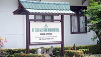 detikcom mendatangi lahan yang dikelola PT ITCI Hutani Manunggal (IHM). Kami pergi menuju IHM pada Kamis (12/9/2019) dari kantor Desa Semoi Dua, Kecamatan Sepaku. IHM sendiri merupakan pemasok strategis dengan kontribusi yang signifikan terhadap anak usaha APRIL yakni PT Riau Andalan Pulp and Paper (PT RAPP). Ardan Adhi Chandra/Dok. Detikcom.