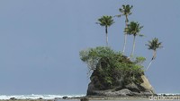 Pulau Simeulue yang berada di kawasan Aceh juga memiliki beragam objek wisata menarik. Tak cuma memiliki ombak yang menantang hingga menarik para pencinta surfing berselancar di sana, Pulau Simeulue juga punya beragam objek wisata menarik lainnya, salah satunya adalah pulau Spongebob yang ikonik. Rifkianto Nugroho/detikcom.