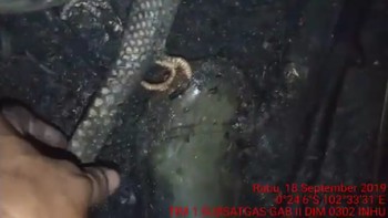 Petugas sedang meraih selang air di kegelapan, malah memegang bangkai ular dengan ciri-ciri fisik yang aneh (dok KPBD Indragiri Hulu)