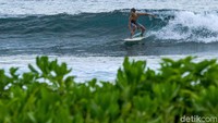 Pulau Simeulue, Aceh, jadi salah satu destinasi andalan bagi para pecinta surfing. Ombaknya yang menantang jadi magnet bagi para penikmatnya. (Rifkianto Nugroho/Detikcom)