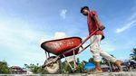 Mengintip Persiapan Nelayan Berburu Lobster