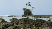 Lokasi pulau unik itu persisnya ada di Pantai Angkeo, berjarak sekitar dua jam perjalanan dari pusat kota Sinabang. Posisinya ada di sebelah kiri jalan, tapi tidak langsung persis di pinggir jalan.