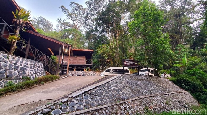 Taman Nasional Gunung Halimun Salak