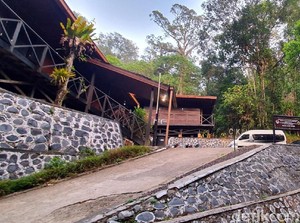 Pelaku Potret Bokong Pengunjung Wanita Dipecat dari TN Gunung Halimun
