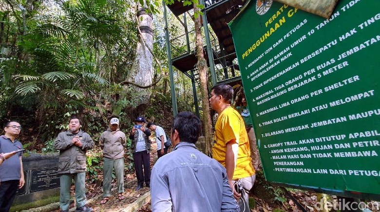 Taman Nasional Gunung Halimun Salak Taman Nasional Gunung Halimun Salak