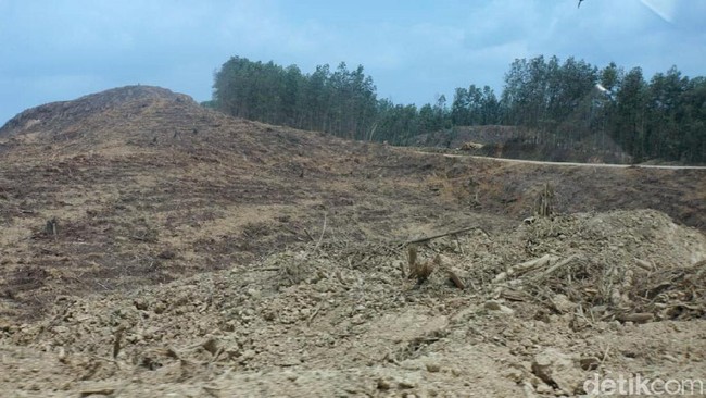 Tanoto Siap Kembalikan Lahan untuk Ibu Kota RI, Dapat Ganti Rugi?